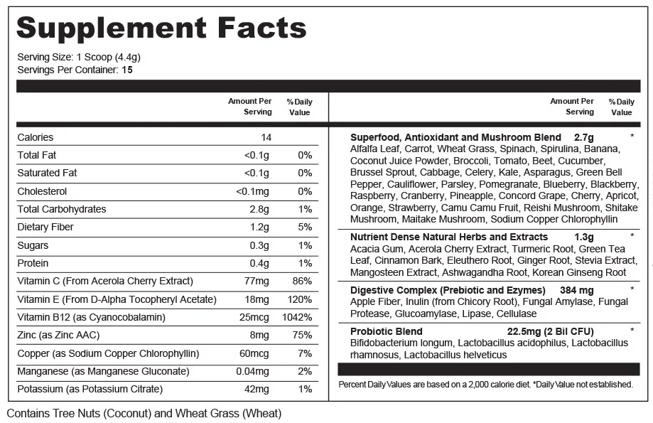 Value Terrace 1 Travel Size Greens Nutrition Powder ingredients